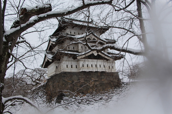 積雪の弘前城「枝越しの天守閣」/癒し憩い画像データベース
