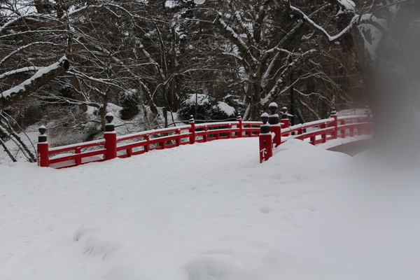 積雪の弘前城「下乗橋と冬木立」