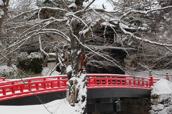 積雪の「杉の大橋」と「南内門」/癒し憩い画像データベース