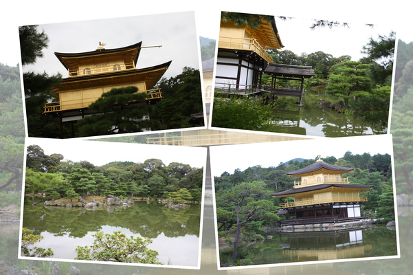 緑葉期の京都・金閣寺「舎利殿（金閣）と鏡湖池」