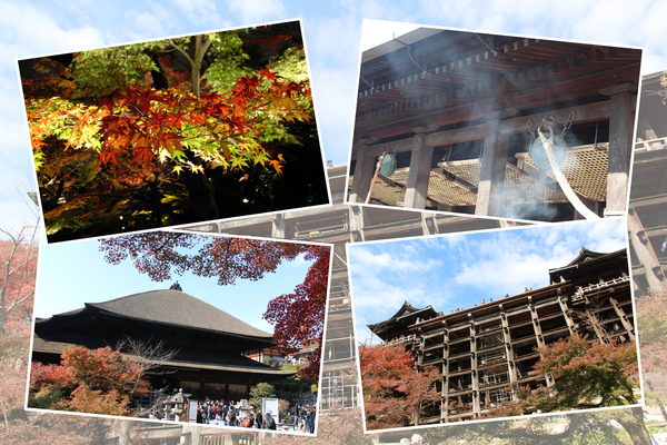 秋の京都・清水寺「本堂と懸造り舞台」