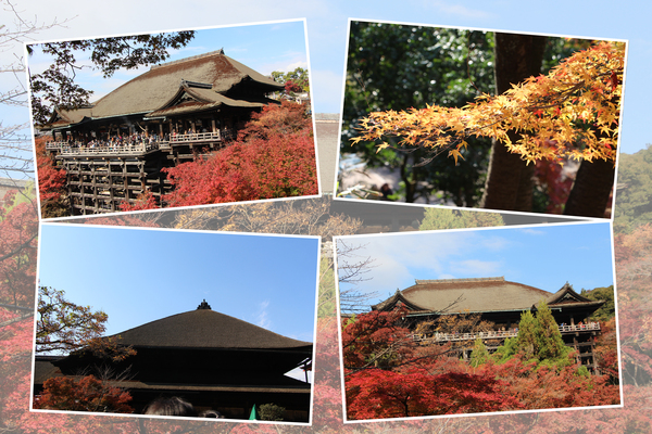 秋の京都・清水寺「本堂の外観」