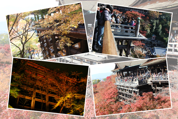秋の京都・清水寺「本堂の懸造り舞台」
