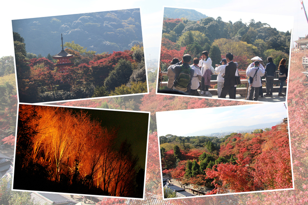 秋の京都・清水寺「本堂舞台と周辺から見た眺め」