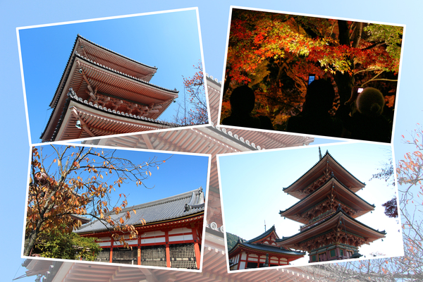 紅葉期の京都・清水寺「三重塔、経堂と周辺」