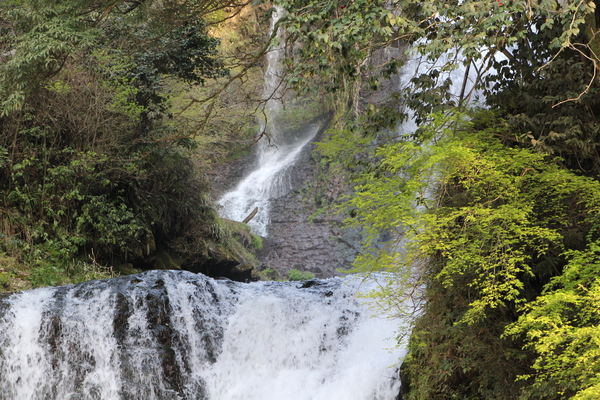 新緑と二段の「慈恩の滝」