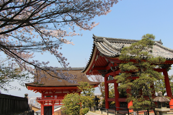 春の京都・清水寺「鐘楼と仁王門」