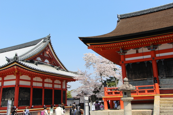 春の京都・清水寺「経堂と田村堂」
