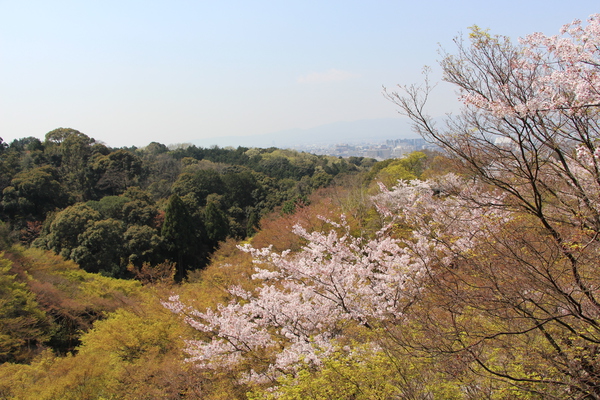 京都の清水寺舞台からみた春景色