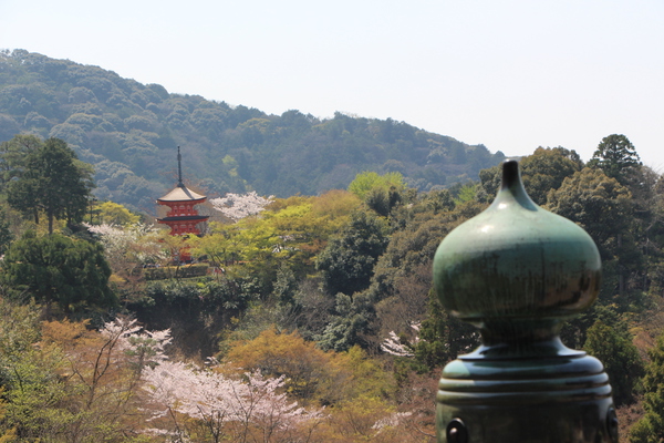 春の京都・清水寺「本堂舞台からの眺め」/癒し憩い画像データベース