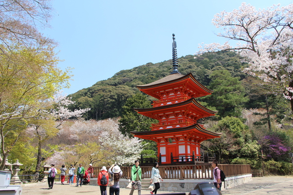 春の京都・清水寺「子安塔」