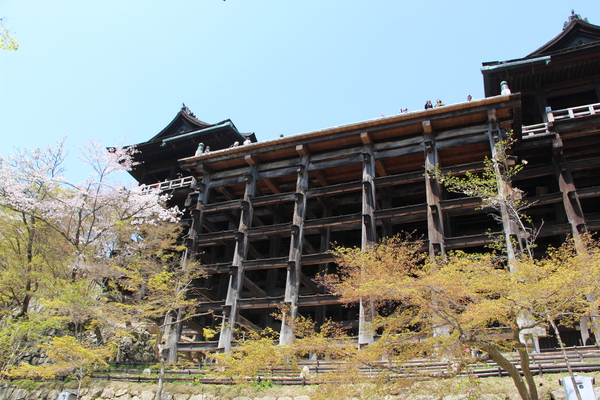 春新緑の清水寺「懸造り本堂舞台」
