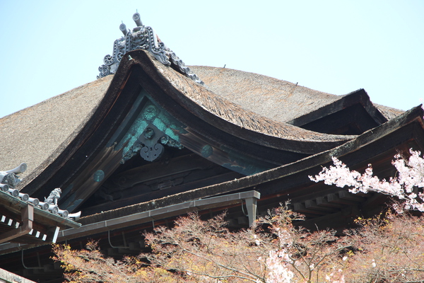 春の京都・清水寺「本堂屋根」
