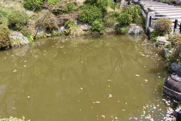春の京都・清水寺「放生池」