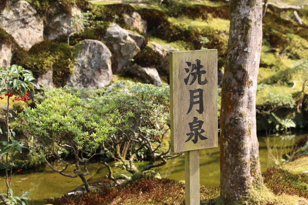新緑の京都・銀閣寺「洗月泉」