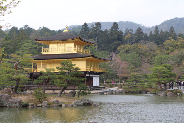 春の京都・金閣寺「鏡湖池と金閣」