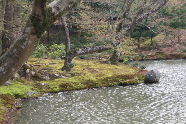 京都・金閣寺「鏡湖池の春模様」