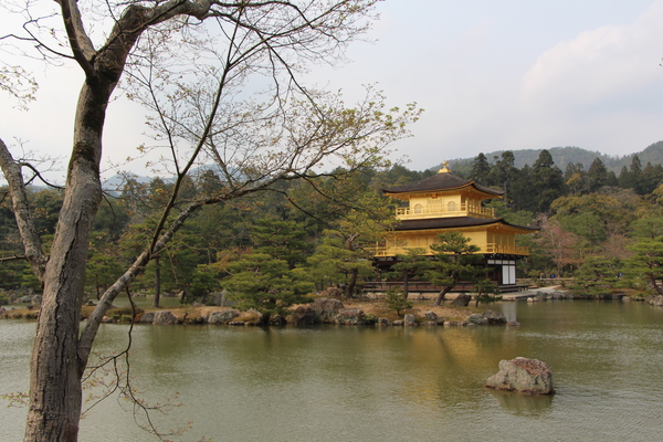 金閣寺の鏡湖池と金色の舎利殿