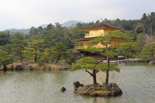 金閣寺「鏡湖池の小島と松」