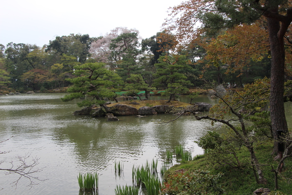 春の京都「金閣寺の鏡湖池」