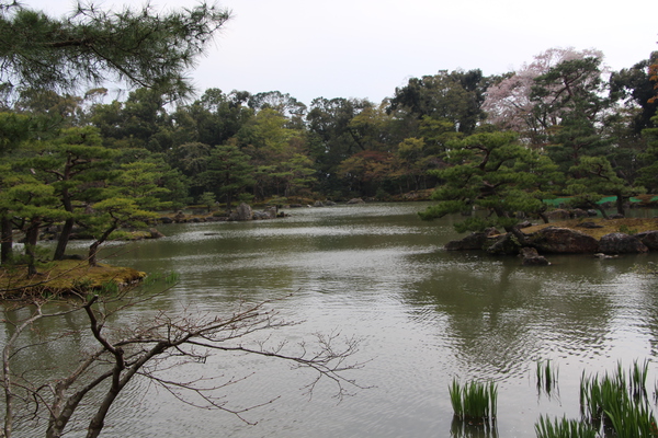 京都・金閣寺「鏡湖池のさざなみ」