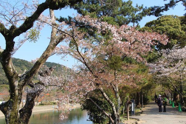 ��������ߤ�ƻ�Ⱥ���/�����Ƥ������ǡ����١���