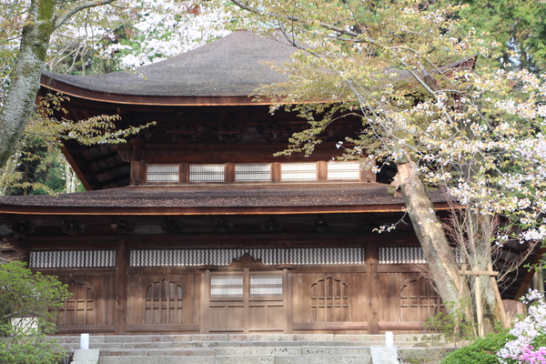 �դ����š�������ְ��ڷ�¢����������/�����Ƥ������ǡ����١���