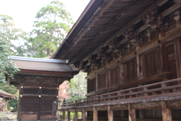 �դ����š�������ֶ�Ʋ������沰��/�����Ƥ������ǡ����١���