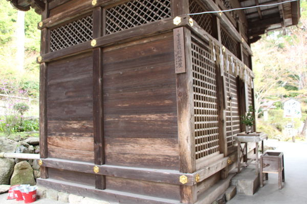 ���š������������沰�μ��̡�/�����Ƥ������ǡ����١���