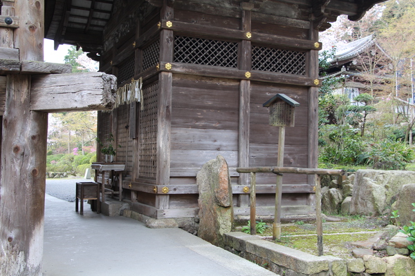 ������Ρ� ����沰��ʸ�ˡ�/�����Ƥ������ǡ����١���