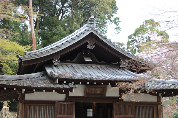 �դ����š�������־����/�����Ƥ������ǡ����١���