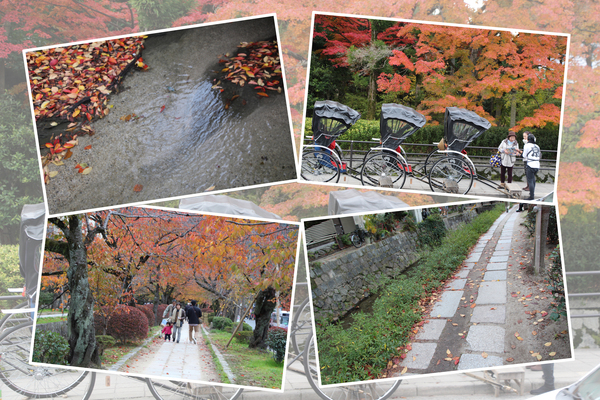 秋・紅葉の京都「哲学の道」/癒し憩い画像データベース