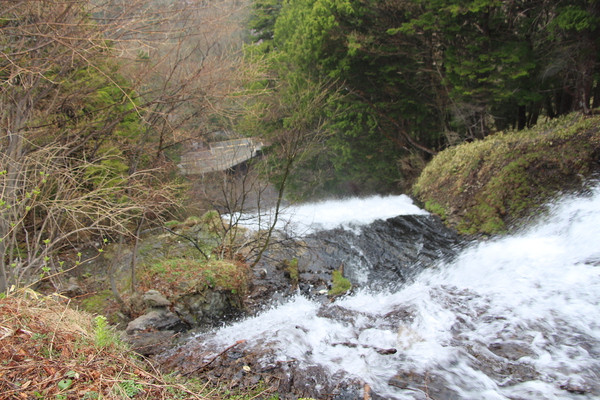 春の奥日光「湯滝の滝口付近」/癒し憩い画像データベース