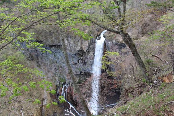 新緑期の「華厳の滝」/癒し憩い画像データベース
