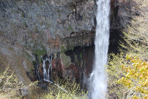 早緑の華厳の滝「柱状節理の岩壁と伏流水」