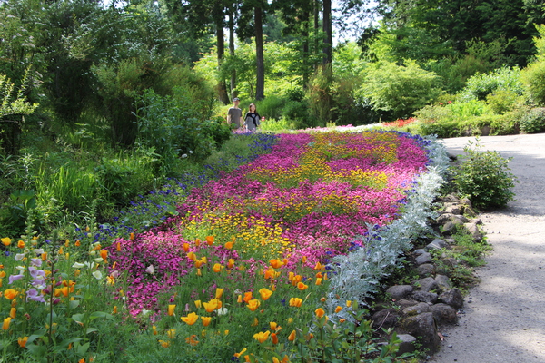 散策路と多色の花壇/癒し憩い画像データベース