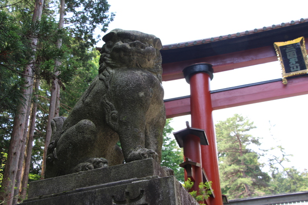 初夏の北口本宮富士浅間神社「狛犬と大鳥居」