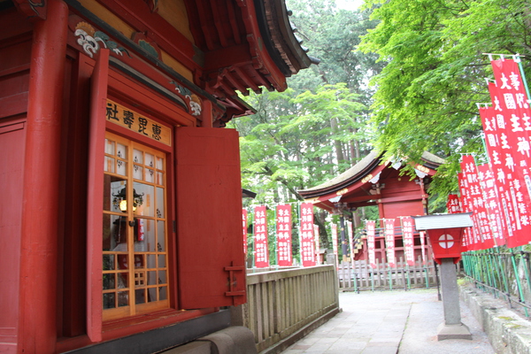 初夏の北口本宮富士浅間神社「恵毘寿社」と「東宮」遠景