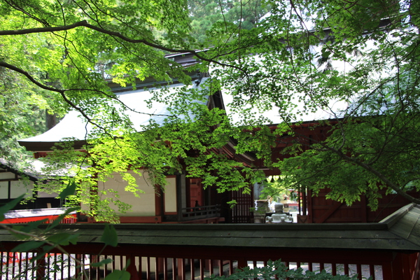 初夏の北口本宮富士浅間神社「諏訪拝殿と諏訪神社」