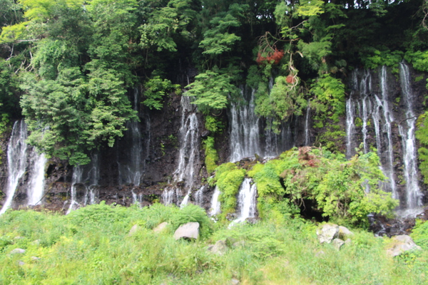 初夏の富士宮「岩間から流れ落ちる白糸の滝」