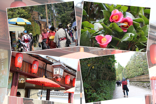 春の京都・銀閣寺「参道と門前町の風情」