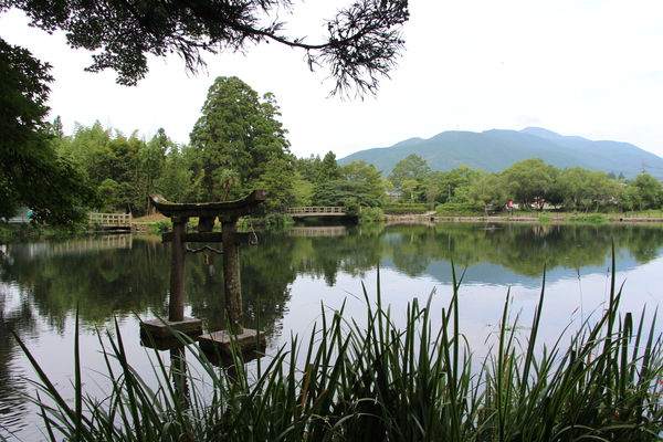 夏の金鱗湖に建つ「天祖神社の鳥居」