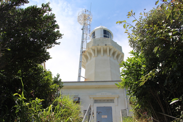 夏の緑葉と佐田岬灯台