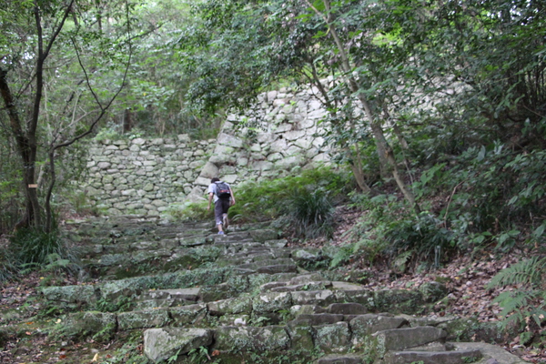 夏の宇和島城址「森に囲まれた石垣と石段」