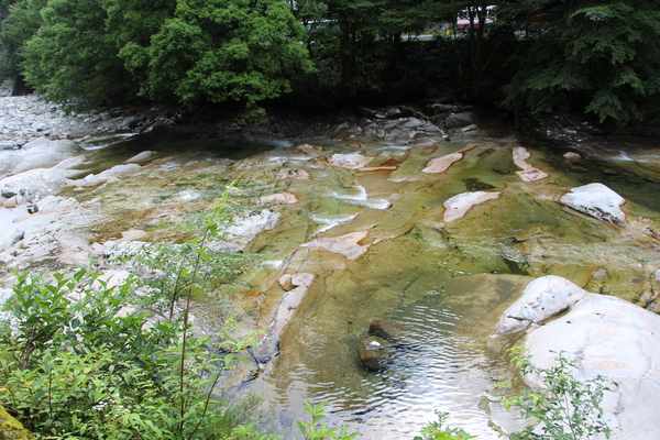 夏の面河渓「河原景色」/癒し憩い画像データベース