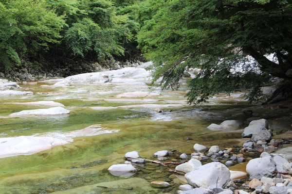 夏の面河渓「流れが穏やかな河原」/癒し憩い画像データベース