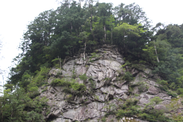 夏の面河渓「切り立った断崖と緑の木々」/癒し憩い画像データベース