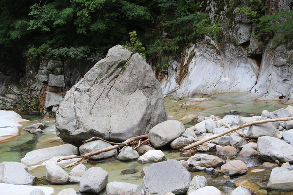 夏の面河渓「大小の岩と流木」/癒し憩い画像データベース