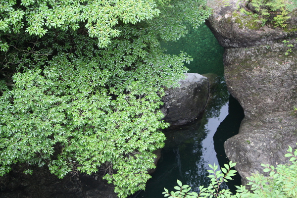 緑葉の渓谷とエメラルドグリーンの瀞/癒し憩い画像データベース