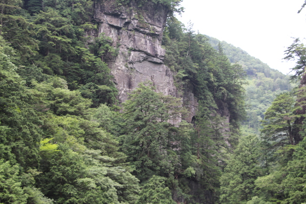 夏の面河渓「断崖の渓谷」/癒し憩い画像データベース